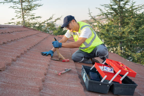Best Storm Damage Roof Repair  in Elba, AL